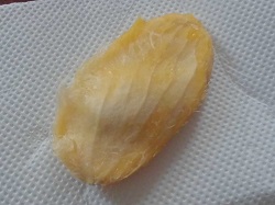 太陽のタマゴ 栽培 種 1