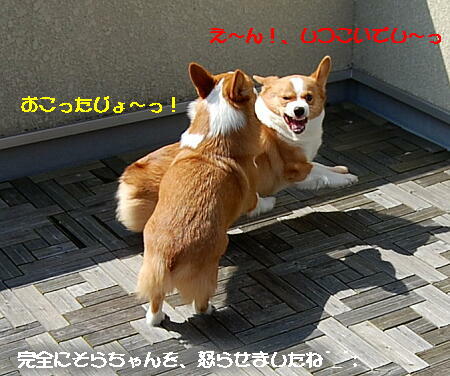 031309.jpg