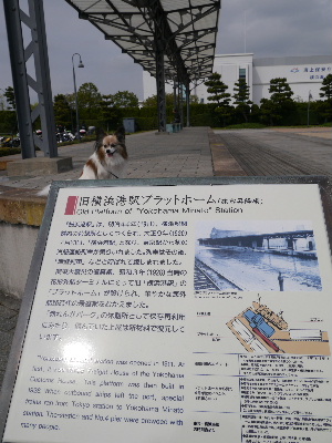 2012横浜1-16.JPG