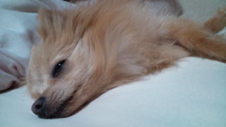 2012-03-12 22:24:17