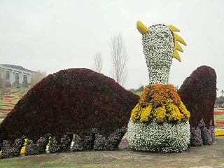 IMG_6082.jpg