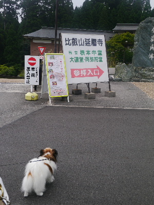 2012京都夏2−12.JPG