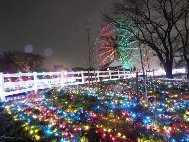 DSCF3328.JPG