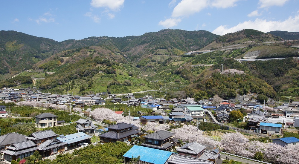 夢作案内人 の ブログ