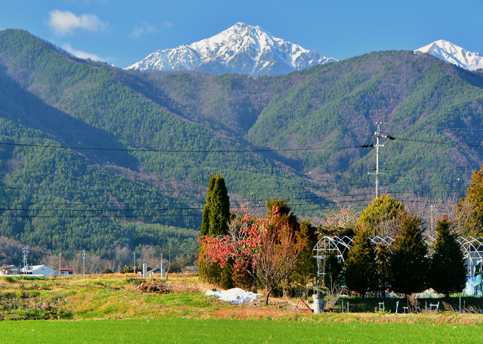 柿の木のある風景 | フォト安次郎・安らぎの風景 - 楽天ブログ