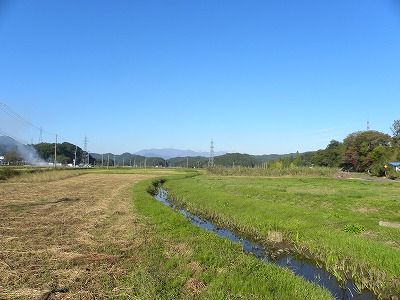 DSCN9700.jpg