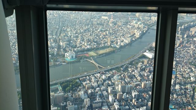 2015-10-03 15.59.31.jpg