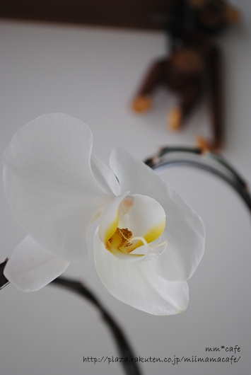 DSC_0147.jpg