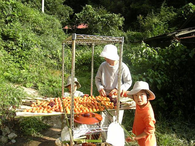 島根県での転地療養回想記１ 07年2月 12月 化学物質過敏症日記 楽天ブログ