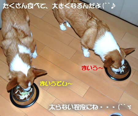 032706.jpg