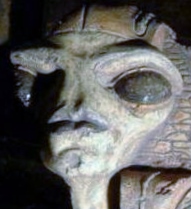 anu.jpg
