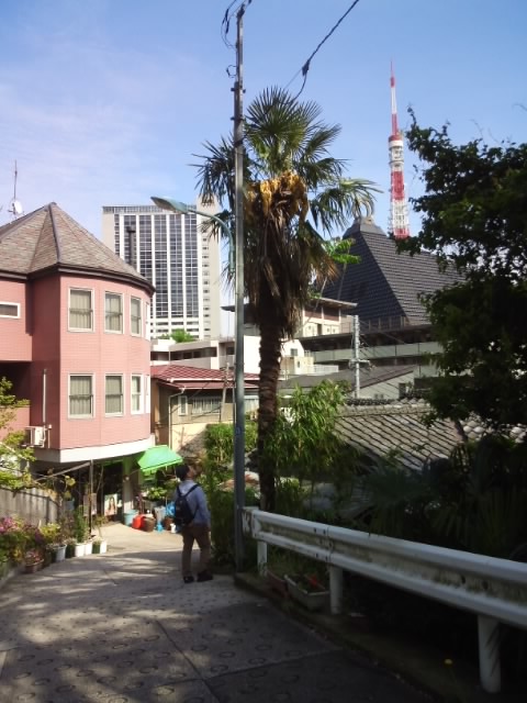 senngoku4