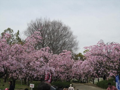 @.IMG_6136.jpg