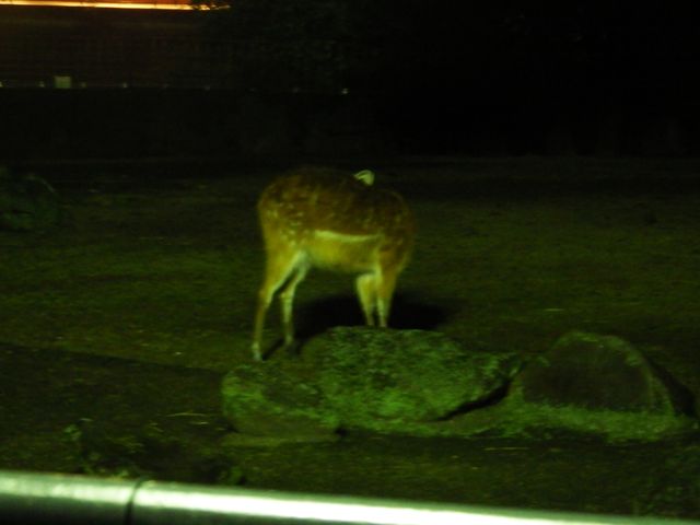 DSCF3323.JPG