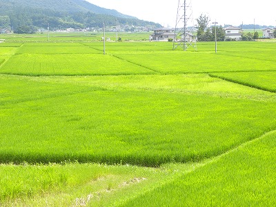DSCN4414.jpg