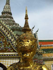 IMG_2568.JPG