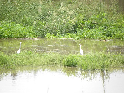 DSCN9330.jpg