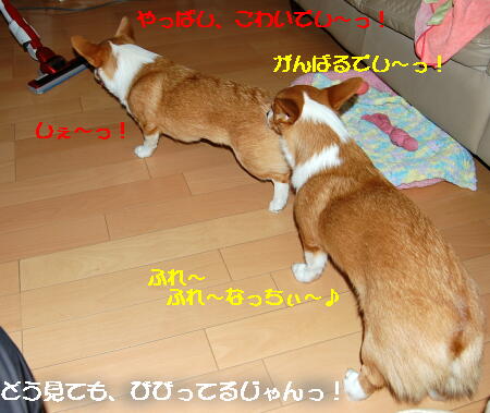 020905.jpg