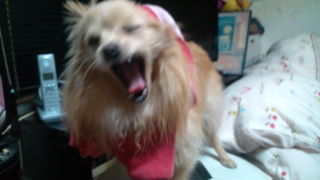 2012-03-07 16:29:30
