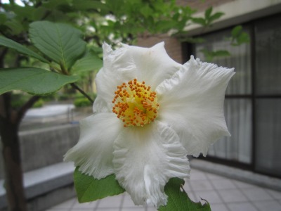 IMG_7784.jpg