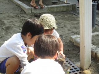 IMG_7464.jpg
