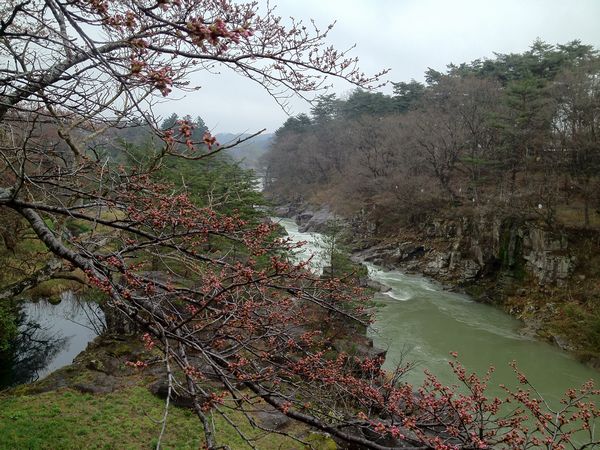 20120423厳美渓