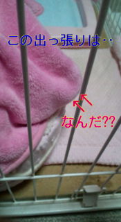 20120221235619.jpg