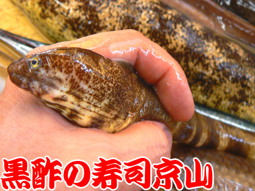 千代田区 宅配寿司 神田美土代町.jpg