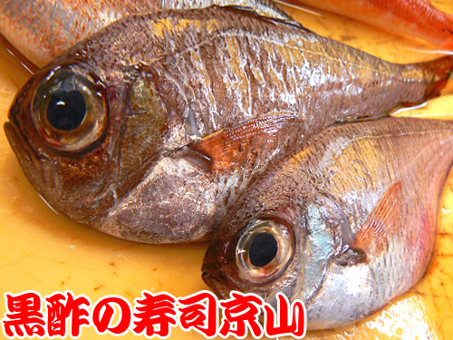 千代田区 宅配寿司 紀尾井町.jpg
