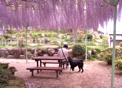2012.5.8-2.jpg