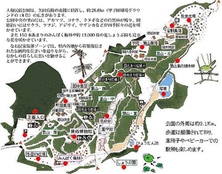 17年の梅行脚 ２ 大和民俗公園の みんぱく梅園 と雛まつり リュウちゃんの懐メロ人生 楽天ブログ