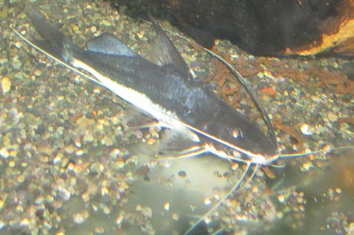 IMG_0478_R.JPG