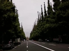 6050