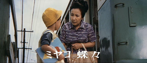 ミヤコ蝶々 出演『ボクは五才』初DVD化/1970年 | おじなみの日記 