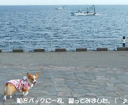 031510.jpg
