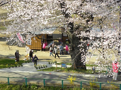 DSCN8149.jpg