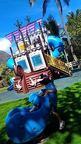 6238