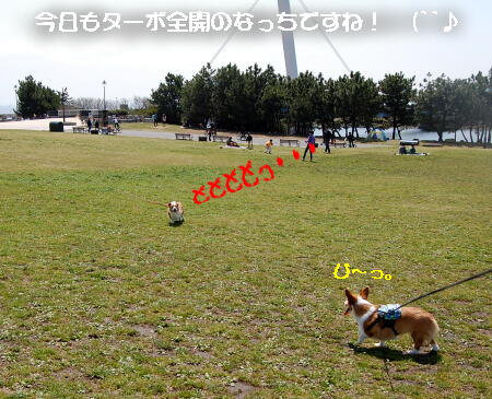 040208.jpg