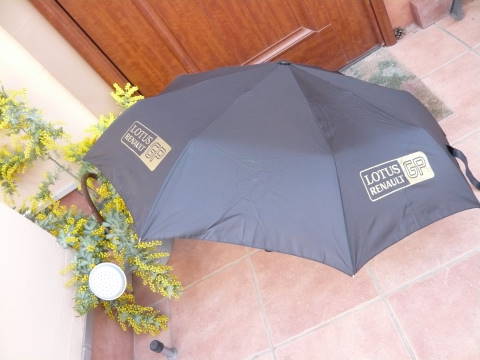 L1130374.JPG