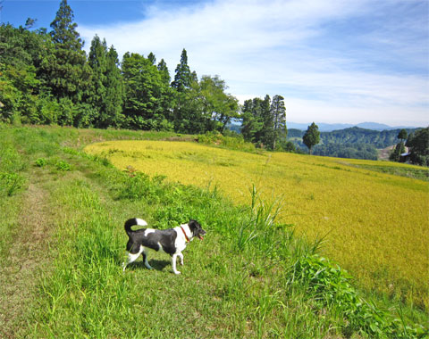 2012.10.15-2.jpg