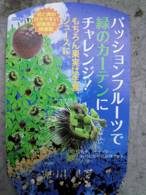 パッションフルーツ始動 プランター果樹 屋上 ベランダで家庭菜園 楽天ブログ