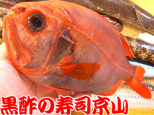 千代田区 宅配寿司 神田松永町.jpg