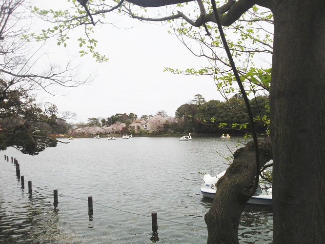 senzokuike3