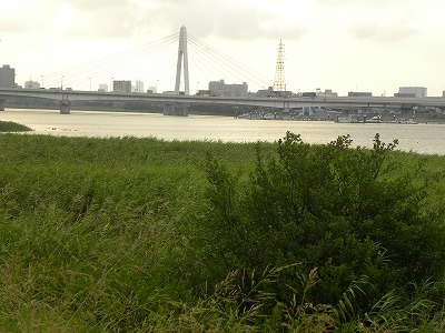 DSCN9711.jpg