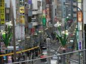 オレンジ色の雰囲気…。