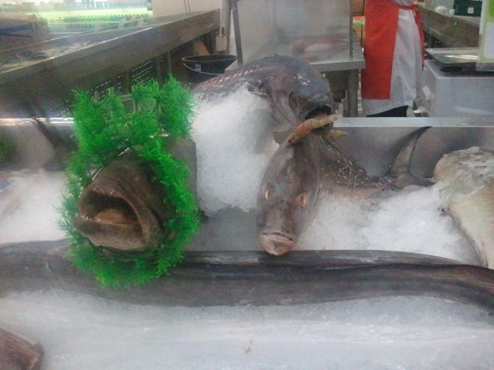 Hyper Mart.jpg