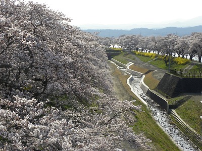 DSCN8177.jpg