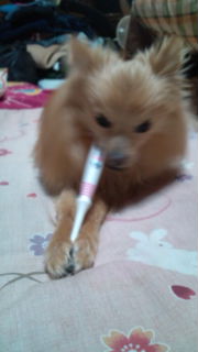 20120212213431.jpg