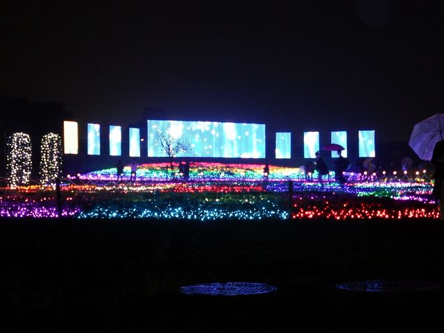 DSCF3367.JPG