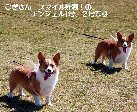 041304.jpg